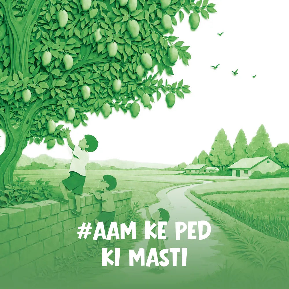 Aam Papad - Box